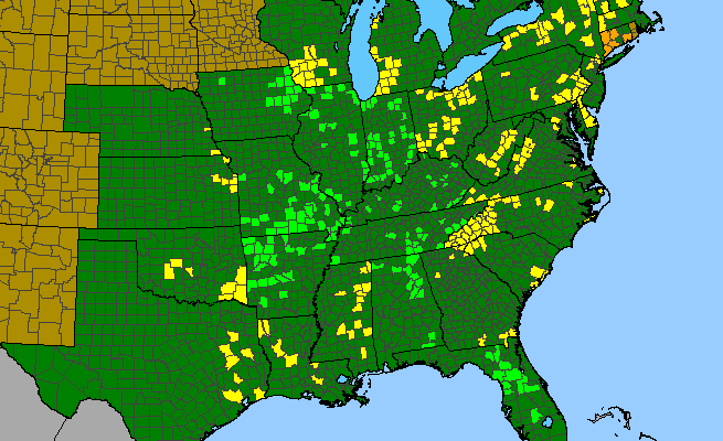 The range of Triphora trianthophoros